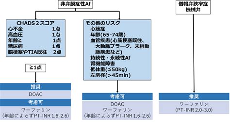 心房細動②│不識庵 万年研修医のブログ