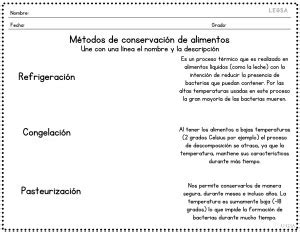 Descomposición de alimentos para niños LEGSA