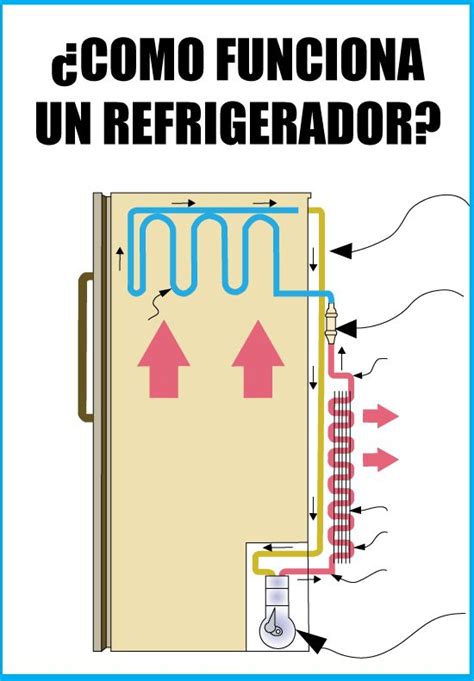 Diagrama Electrico De Una Nevera Climax Refrigeration Daniel