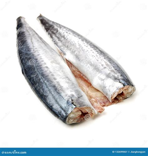 Fillet of Spanish Mackerel Slide Stock Image - Image of asia, nature ...