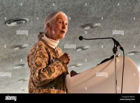 Jane Goodall At The International Conference On Sustainable Veterinary