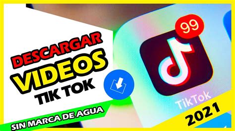 Como Descargar Videos De Tik Tok Sin Marca De Agua Youtube