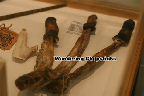 4 Icelandic Phallological Museum Reykjavik Iceland 23 Flickr