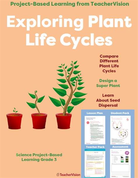 Plant Life Cycle Stages 3rd Grade Science Pbl Teachervision