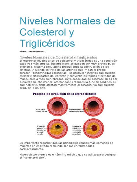 Niveles Normales De Colesterol Y Triglicéridos Hipercolesterolemia Colesterol