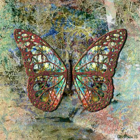 Butterfly No 3 Digital Art By Walter Neal Pixels