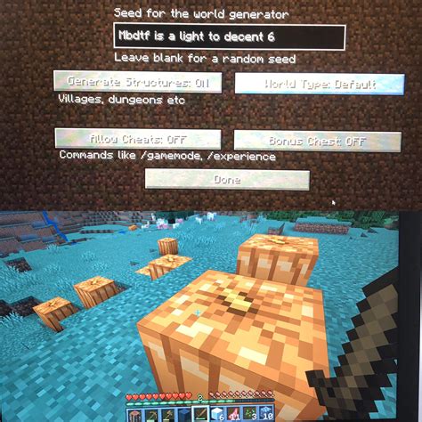 I Put In Mbdtf Is A Light 6” For The Seed Generator In Minecraft And