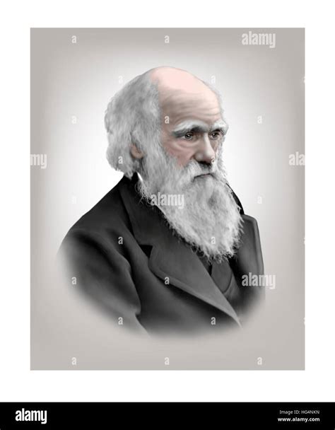 Charles Darwin Naturalist Hi Res Stock Photography And Images