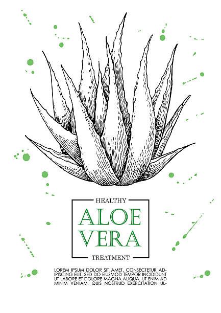 4 300 Aloe Pattern Illustrations Graphiques Vectoriels Libre De