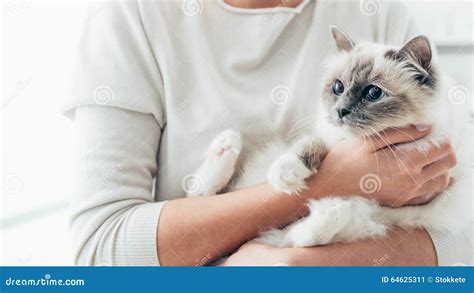 Happy Cat In Her Owner S Arms Stock Image Image Of Embracing Holding