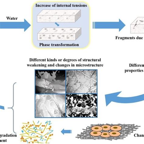 Pdf Influence Of Mechanical Properties Of Biomaterials On