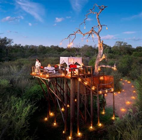 Luxury Tree House Hotels Around the World | Blog