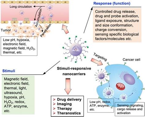 Stimuli Responsive Nanocarriers For Drug Delivery Tumor Imaging