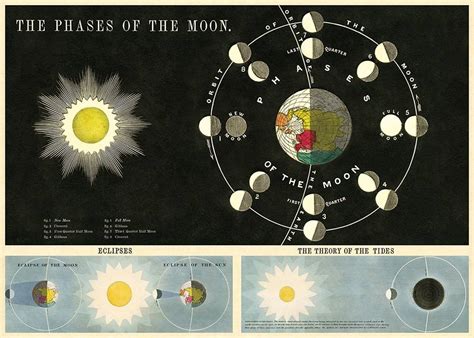 Cavallini Phases Of The Moon Wrap Poster Grey Street