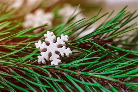 Holidays Christmas Fir Spruce Snowflake HD Wallpaper Pxfuel