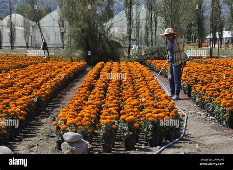 No Exclusivo 14 de octubre de 2022 Ciudad de México México