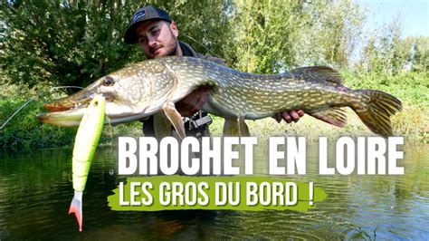 Pêche du brochet dans la Loire Du bord au Big bait Ultimate Fishing