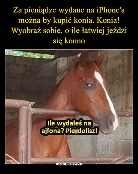 Wierno I Zdrada Na Jednym Zdj Ciu Demotywatory Joe Monster