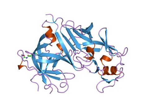 Ренин | это... Что такое Ренин?