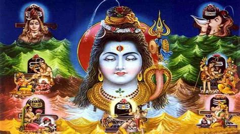 महादेव को अति प्रिय है धतूरे का फूल सावन सोमवार में जरूर करें अर्पण