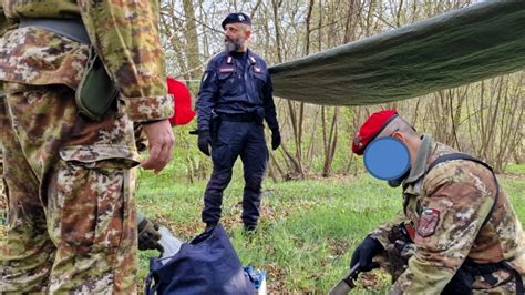 Brutta Sorpresa Nei Boschi Della Droga Comaschi Per Gli Spacciatori