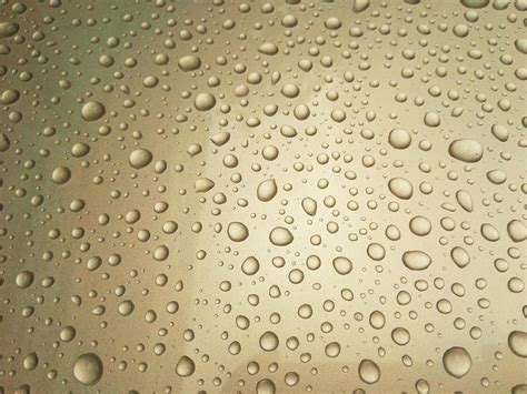 Raindrops On Window Stock Photos, Images and Backgrounds for Free Download