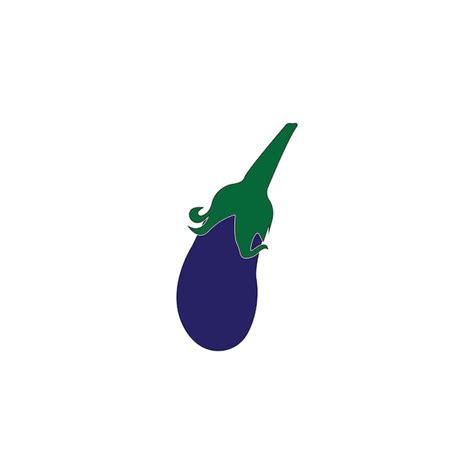 Premium Vector Eggplant Logo Vector Icon Illustration Design