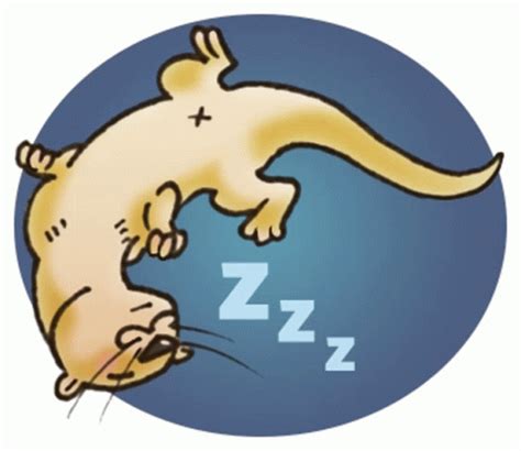 Sleeping Zzz Sticker Sleeping Sleep Zzz Discover Share GIFs