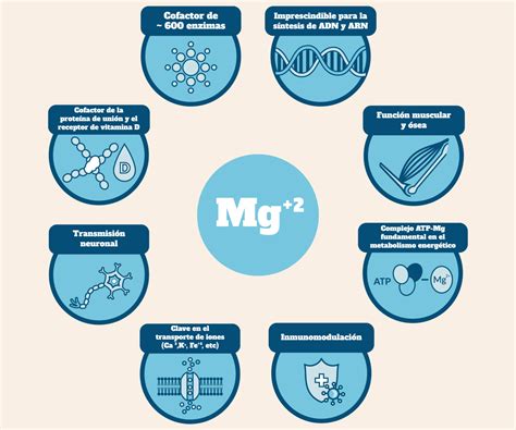 Para Qu Sirve El Magnesio Beneficios Para La Salud Kiroot