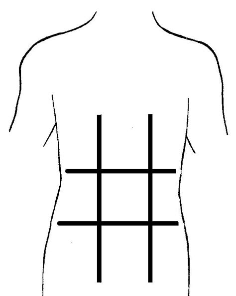 9 Abdominal Regions Diagram | Quizlet