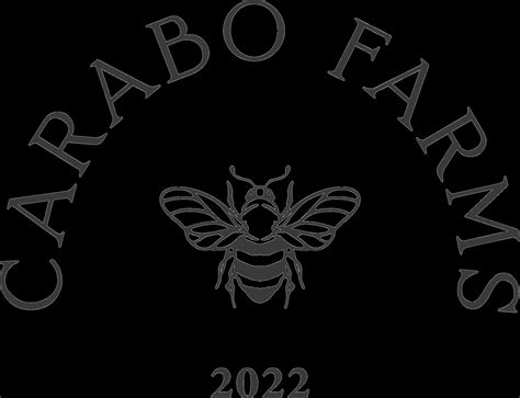 Why you should try hair cuts that you thought were impossible 13