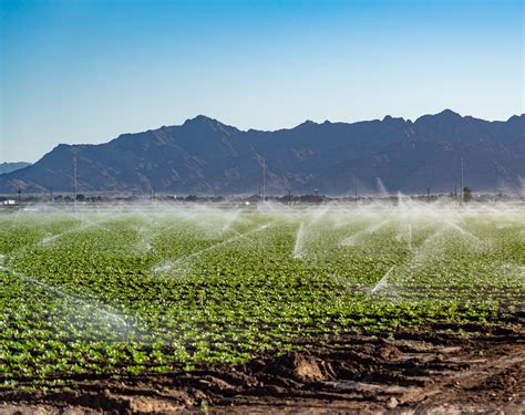 Yuma Ag Water Yuma Fresh