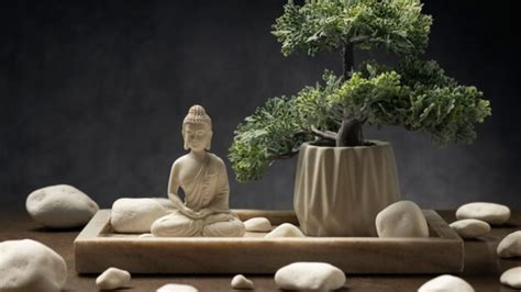 Buena energía cuáles son las 7 plantas que recomienda el Feng Shui