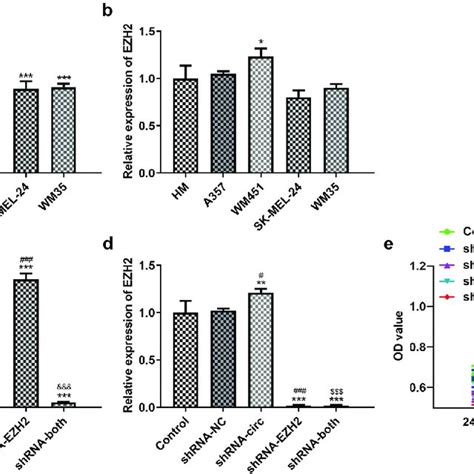 Inhibiting Circrna And Or Ezh Suppresses Melanoma Cell