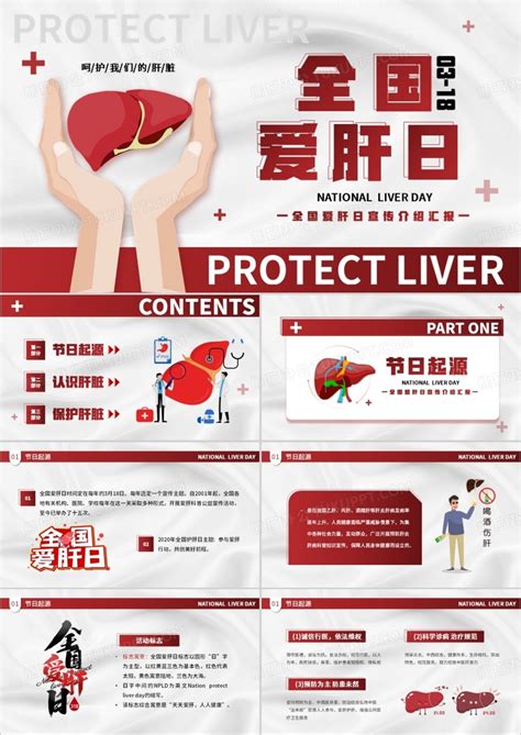 红色卡通风全国爱肝日ppt模板下载 红色 图客巴巴