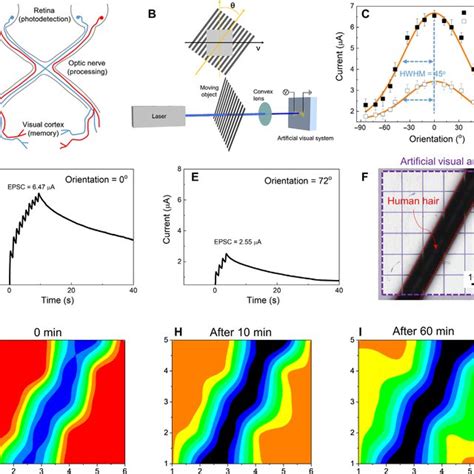 Artificial Visual System Based On Flexible Quasi 2DEG Photonic Synapse