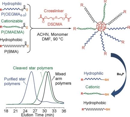 An Armfirst Approach To Cleavable Miktoarm Star Polymers By Raft