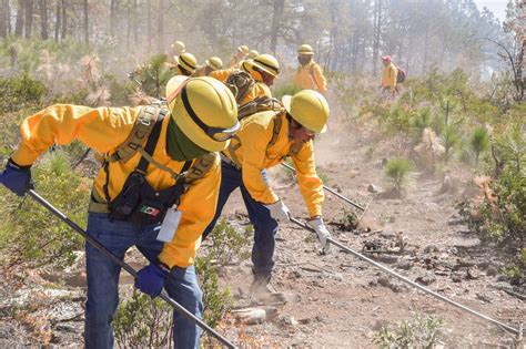 Afectan A 68 Mil Hectáreas Los Incendios Forestales El Bordo