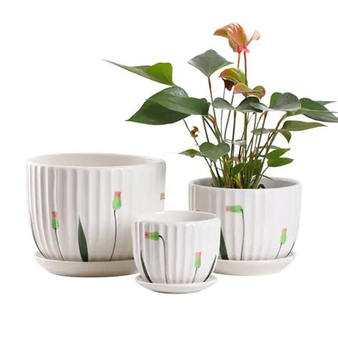 White Ceramic Plant Pots From China Various Sizes