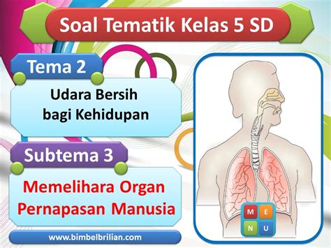 Power Point Ppt Soal Tema Kelas Sd Subtema Memelihara Kesehatan