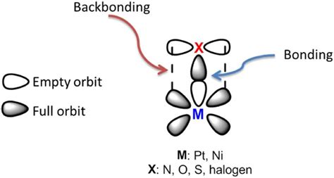 Schematic diagram of back bonding and bonding. | Download Scientific Diagram