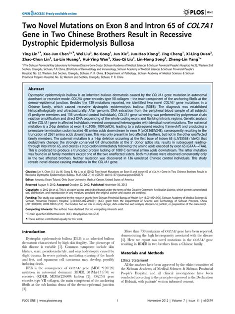 Recessive Dystrophic Epidermolysis Bullosa | Exon | Gene