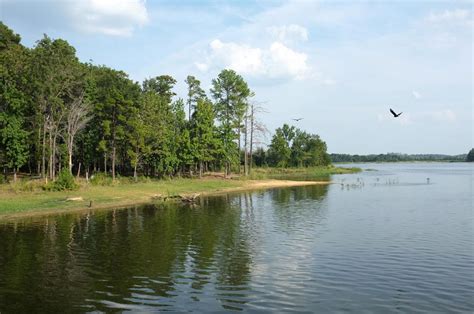 Martin Creek Lake State Park – DearTexas,