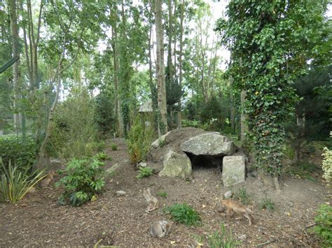 Corsac Fox Enclosure 2 Zoochat