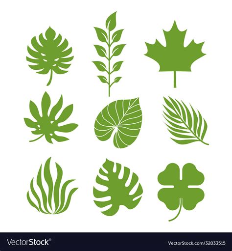 Silhouettes Tropical Leaves Template Royalty Free Vector