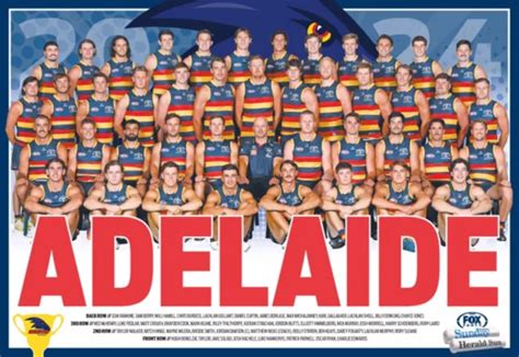 Laminated 2024 Adelaide Crows Afl Football Team Poster Bargain 420mm