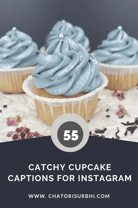 55 Catchy Cupcake Captions For Instagram Pinterest