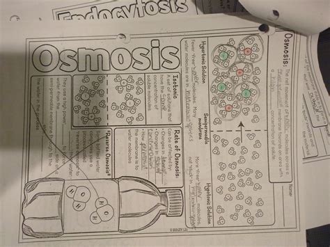 Explain Osmosis And The Difference Between Hypertonic Isotonic And