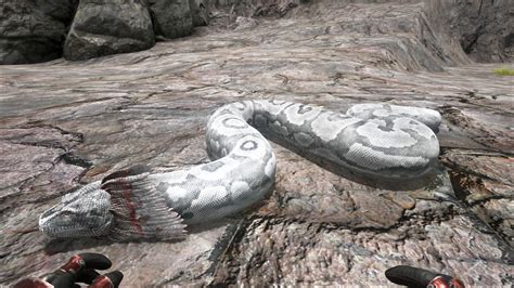 Titanoboa Official Ark Survival Evolved Wiki Be