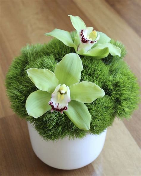 Aranjament De Masa Verde Cu Dianthus Si Orhidee Cymbidium Colorful